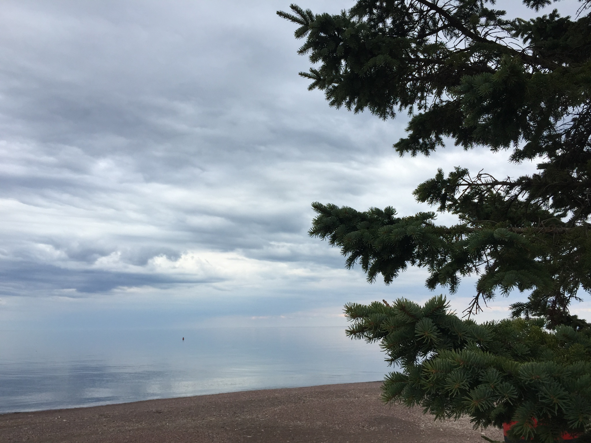 Bold climate cooperation can emerge from 2nd week of Bonn talks